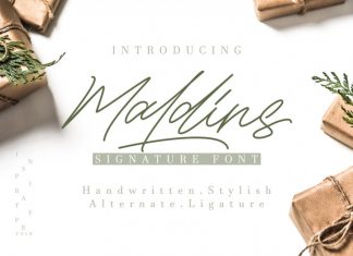 Maldins - Stylish Signature Font