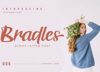 Bradles Script Font