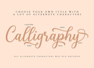 Shalinta Calligraphy Font