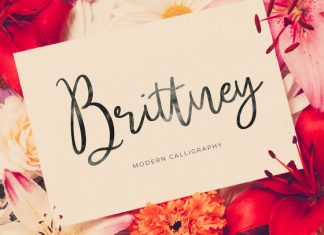 Brittney Font