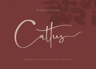 Cattus Font