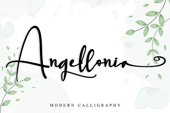 Angellonia Font