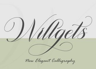 Willgets Font