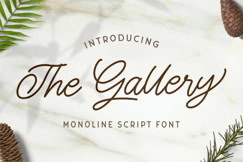The Gallery Font