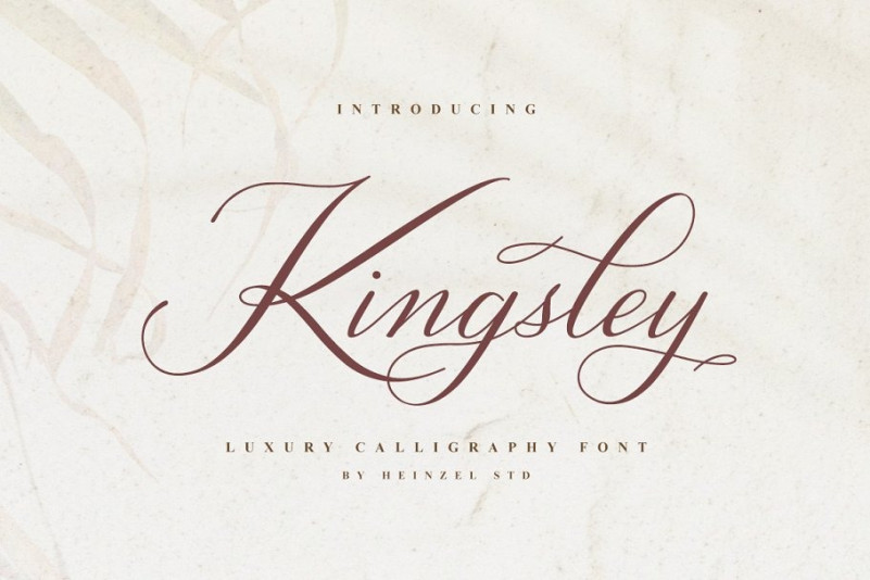 Kingsley Font