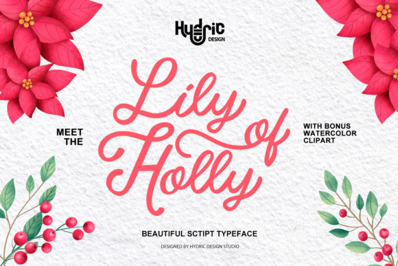 Lily Of Holly Font