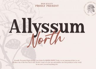 Allyssum North Font