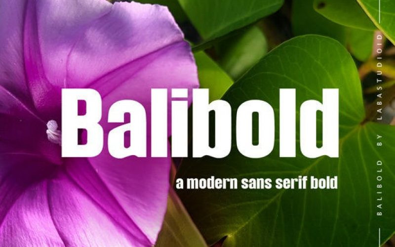 Balibold Font