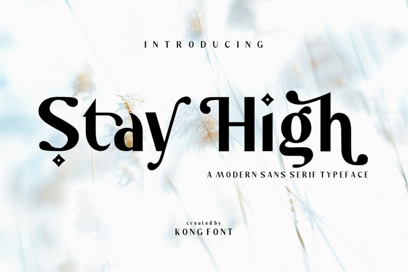 Stay High Font