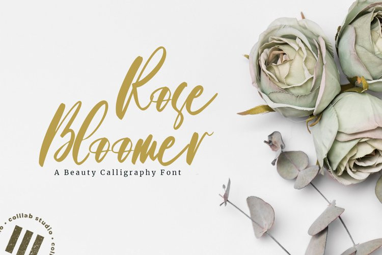 Rose Bloomer Font