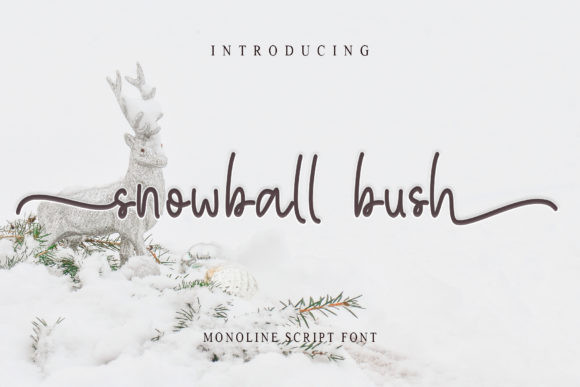Snowball Bush Font