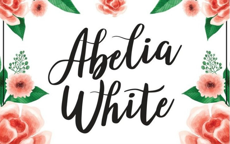 Abelia White Font