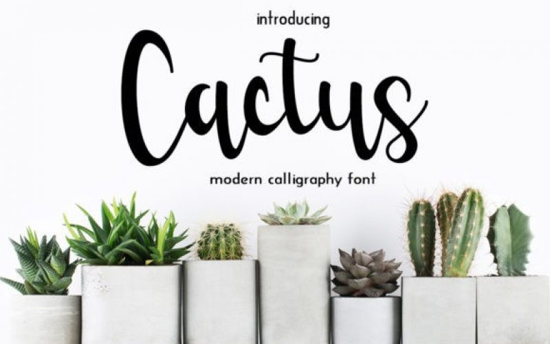 Cactus Font