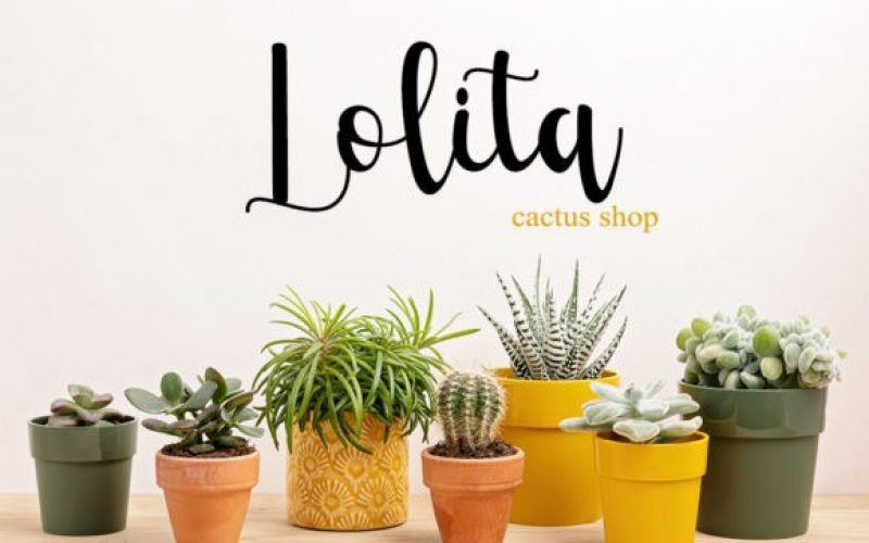 Cactus Font