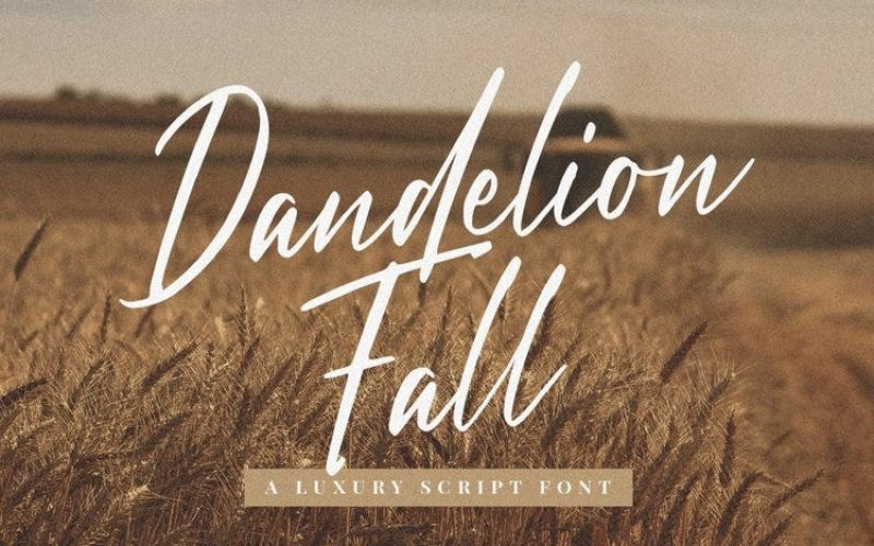 Dandelion Fall Font