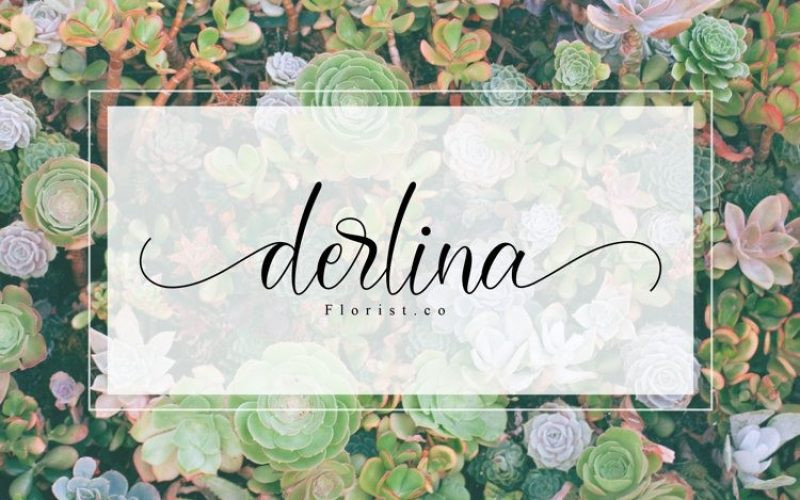 Darcella Calligraphy Font