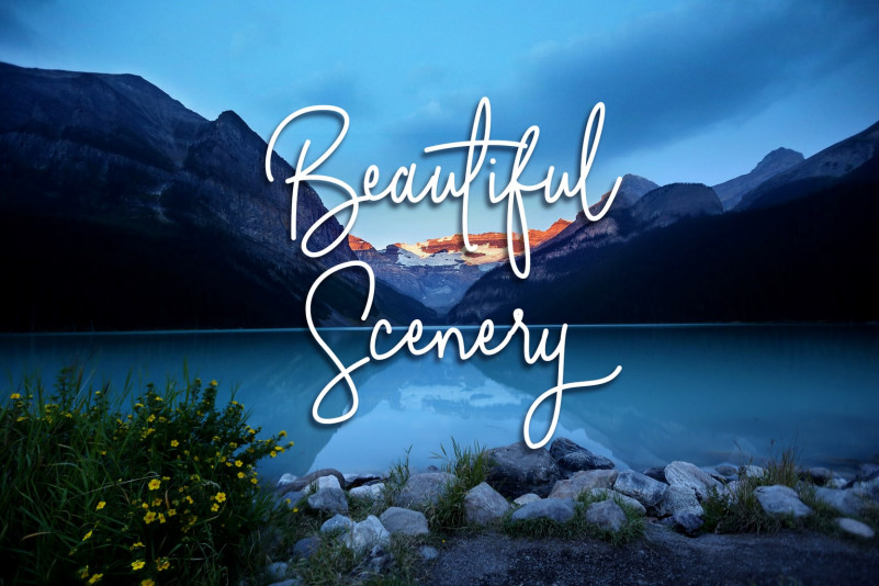 Absolute Nature Font