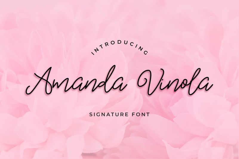 Amanda Vinola Font