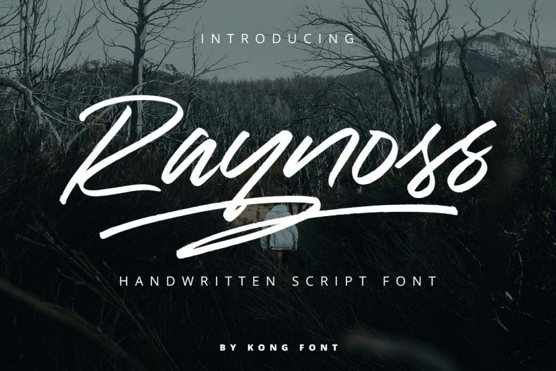 Raynoss Font