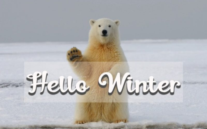 Winter Break Font