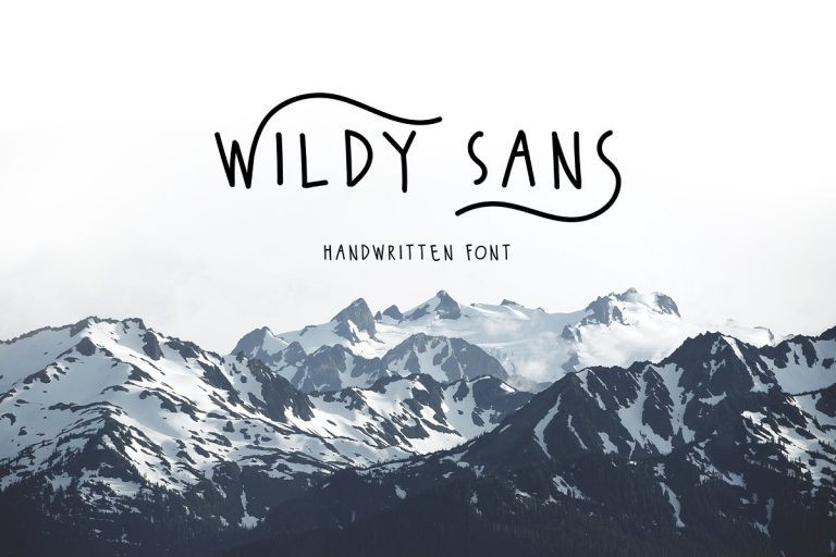 Wildy Sans Font