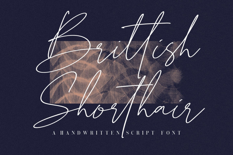 Brittish Sorthair Font