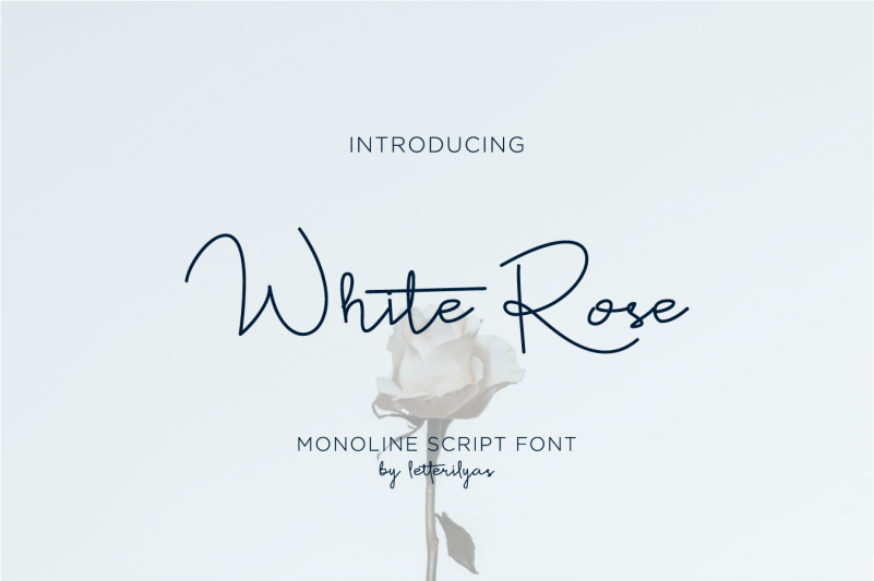 White Rose Font