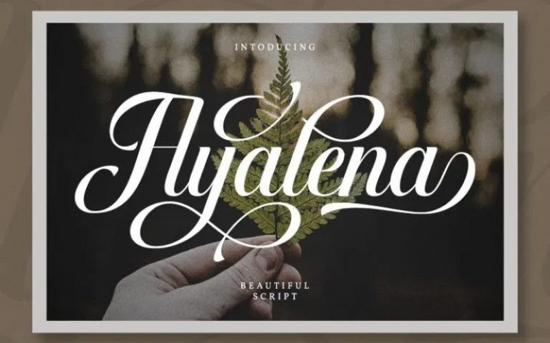 Ayalena Font