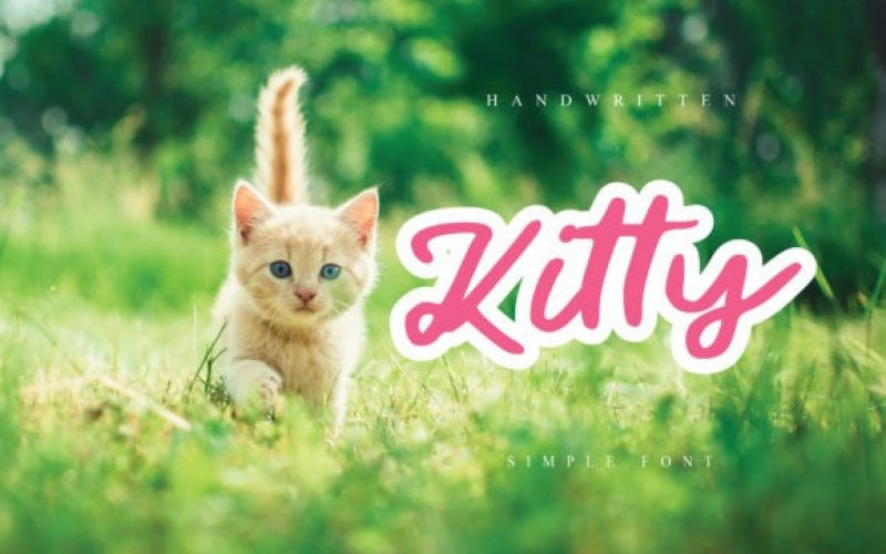 Cutie Cat Font