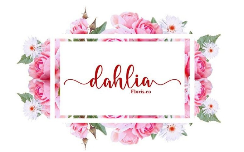 Fadila Font