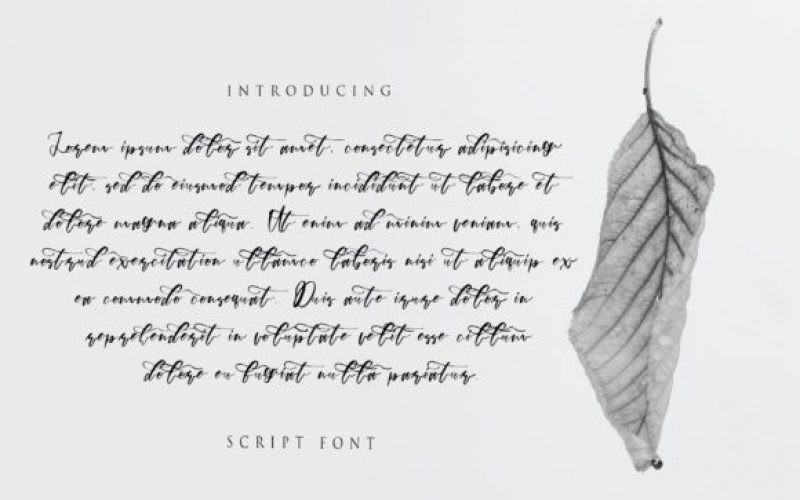 Fatimah Font