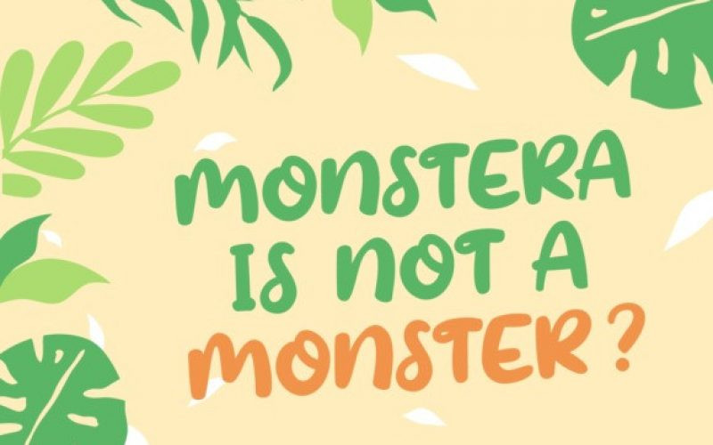 Monster Garden Font