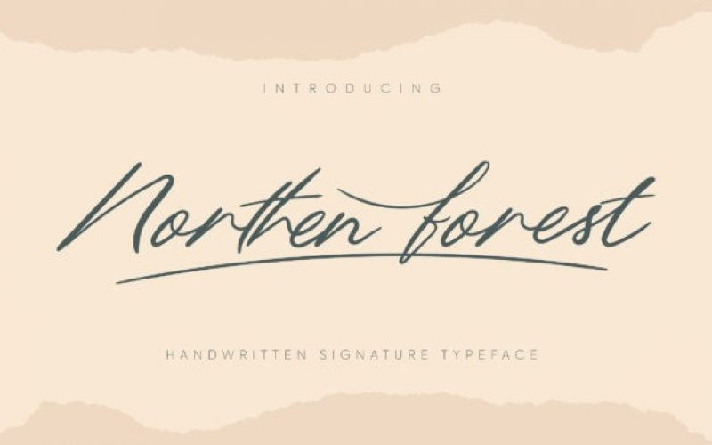 Northern Forest Font