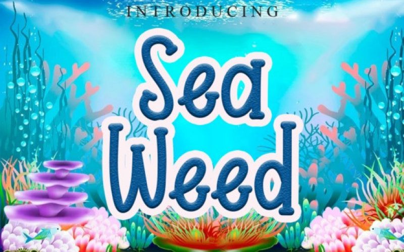 Sea Weed Font
