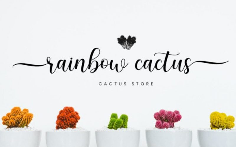 Smoothie Font