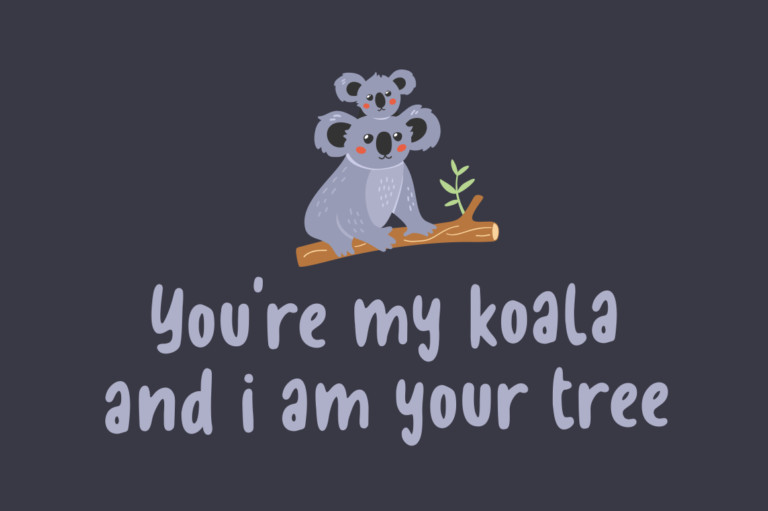 Koala Family Font