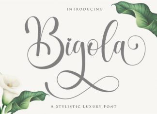 Bigola Font