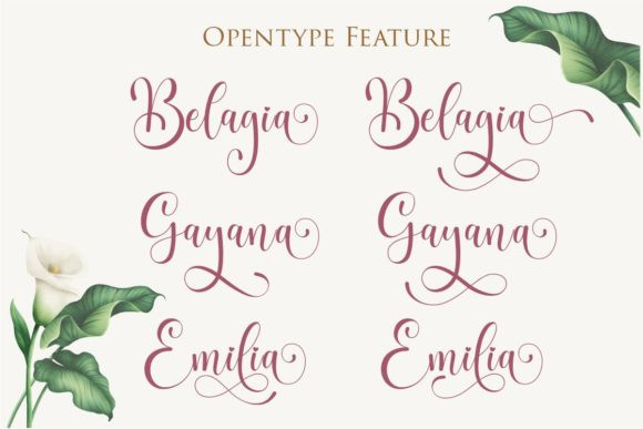 Bigola Font