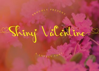 Shiny Valentine Font
