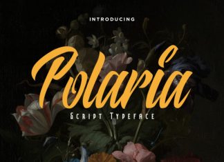 Polaria Font