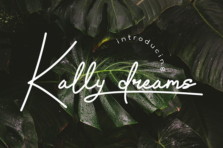 Kally dreams Font