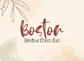 Boston Druins Font