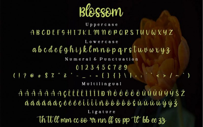 Blossom Font