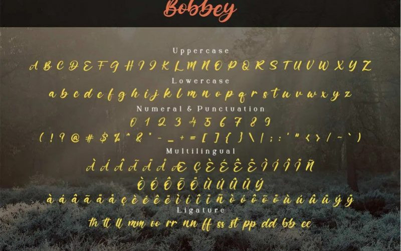 Bobbey Font