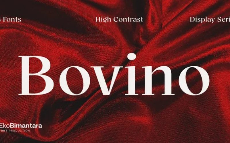 Bovino Font