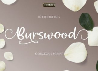 Burswood Font