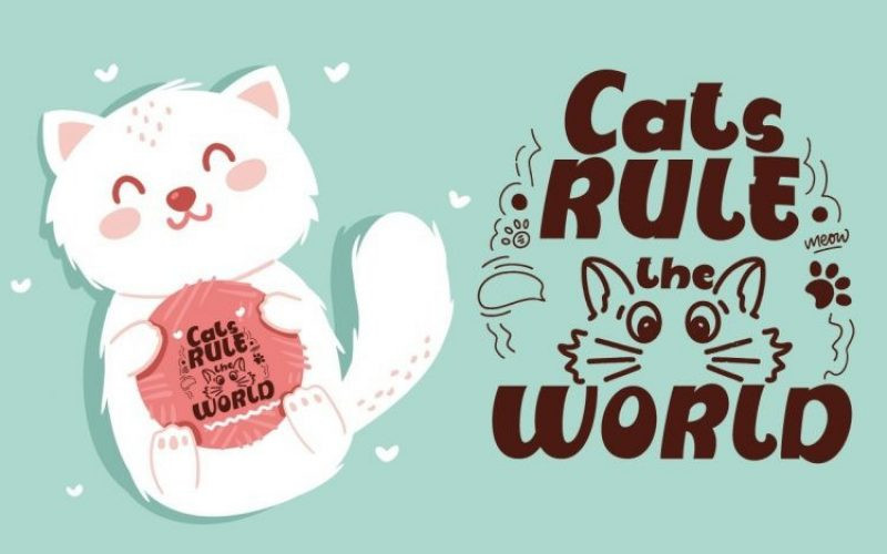 Cats Style Font