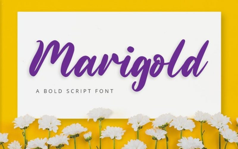 Marigold Font