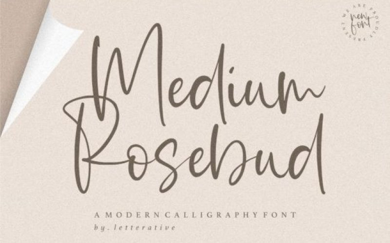 Medium Rosebud Font