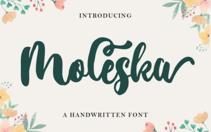 Moleska Font